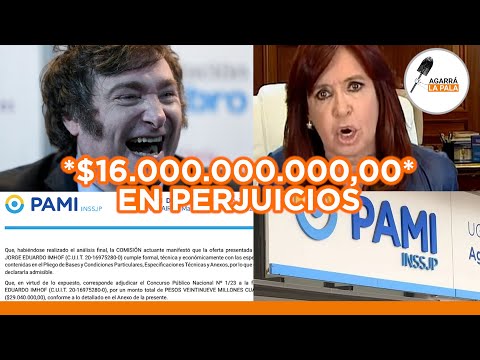 EL ORGANISMO MÁS ROBADO: SE DETECTARON GRAVES IRREGULARIDADES DEL PAMI DE ALBERSO